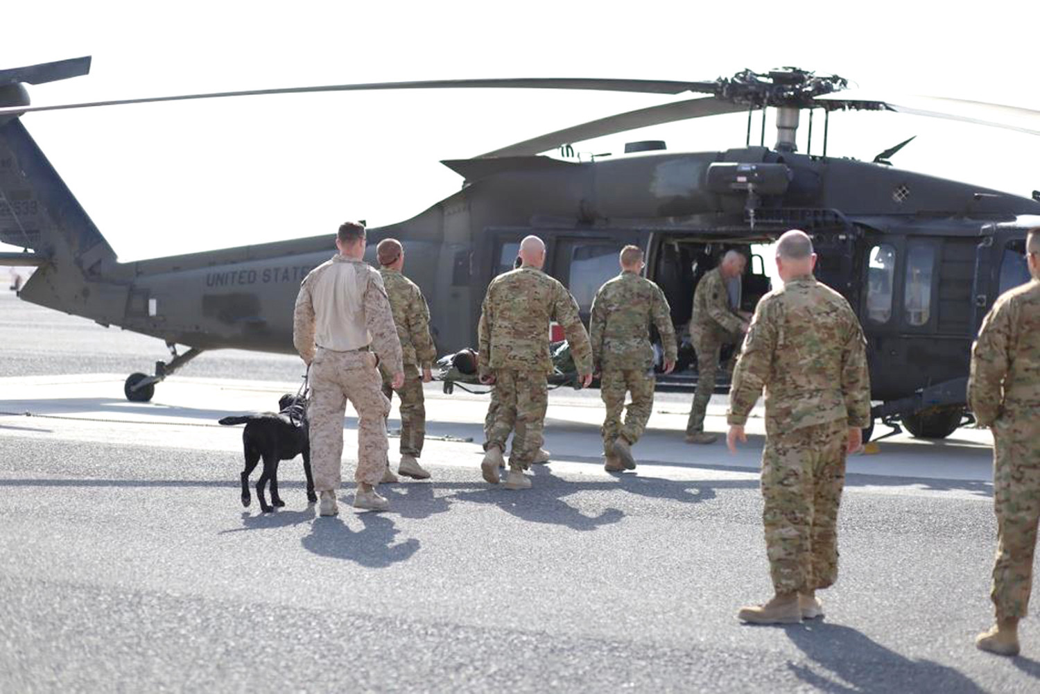 ALL ABOARD: Soldiers assigned to the 1st battalion, 126th aviation regiment join Marines as they gather around a UH-60 Blackhawk helicopter to conduct medical evaluation training using military working dogs in January at Camp Buehring in Kuwait. (Submitted U.S. Army photo by Spc. Devin Flemming)